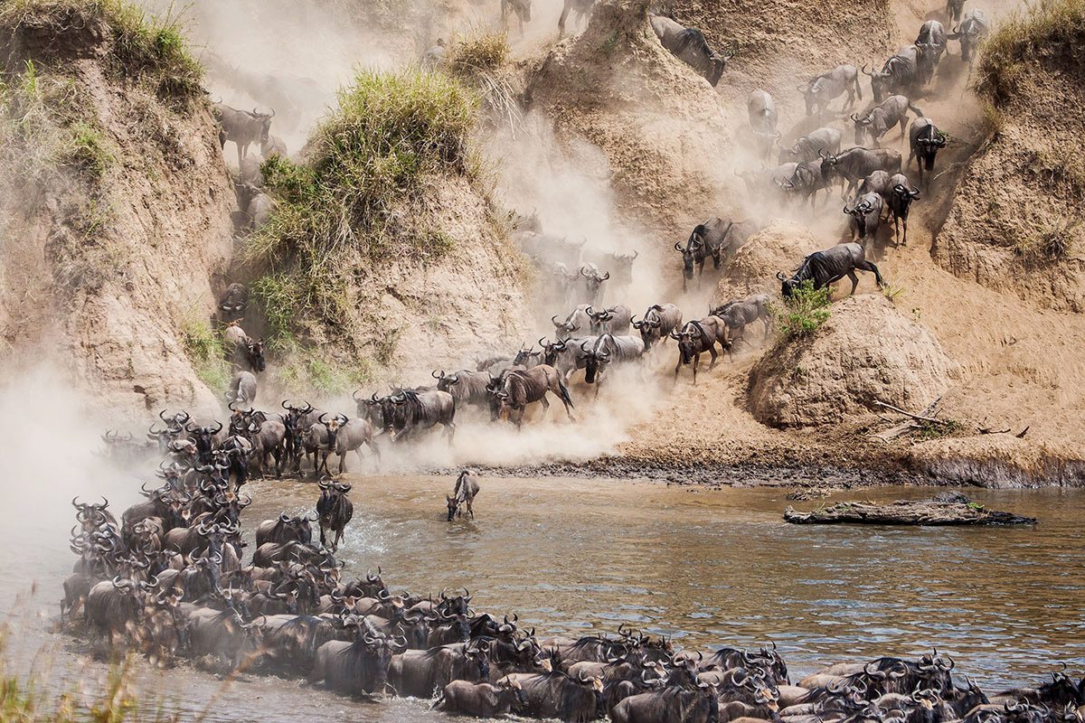 Masai Mara Game Reserve