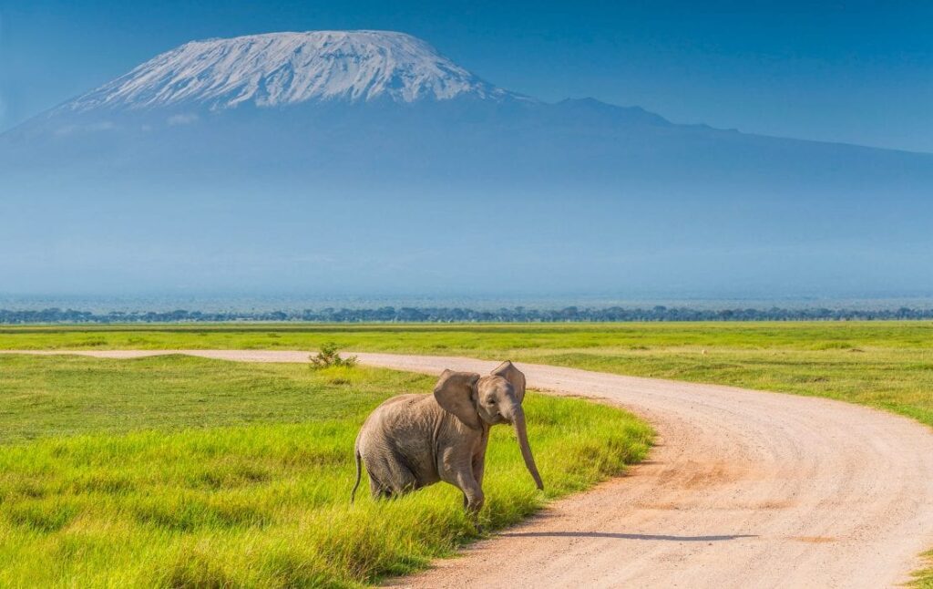 Amboseli National Park