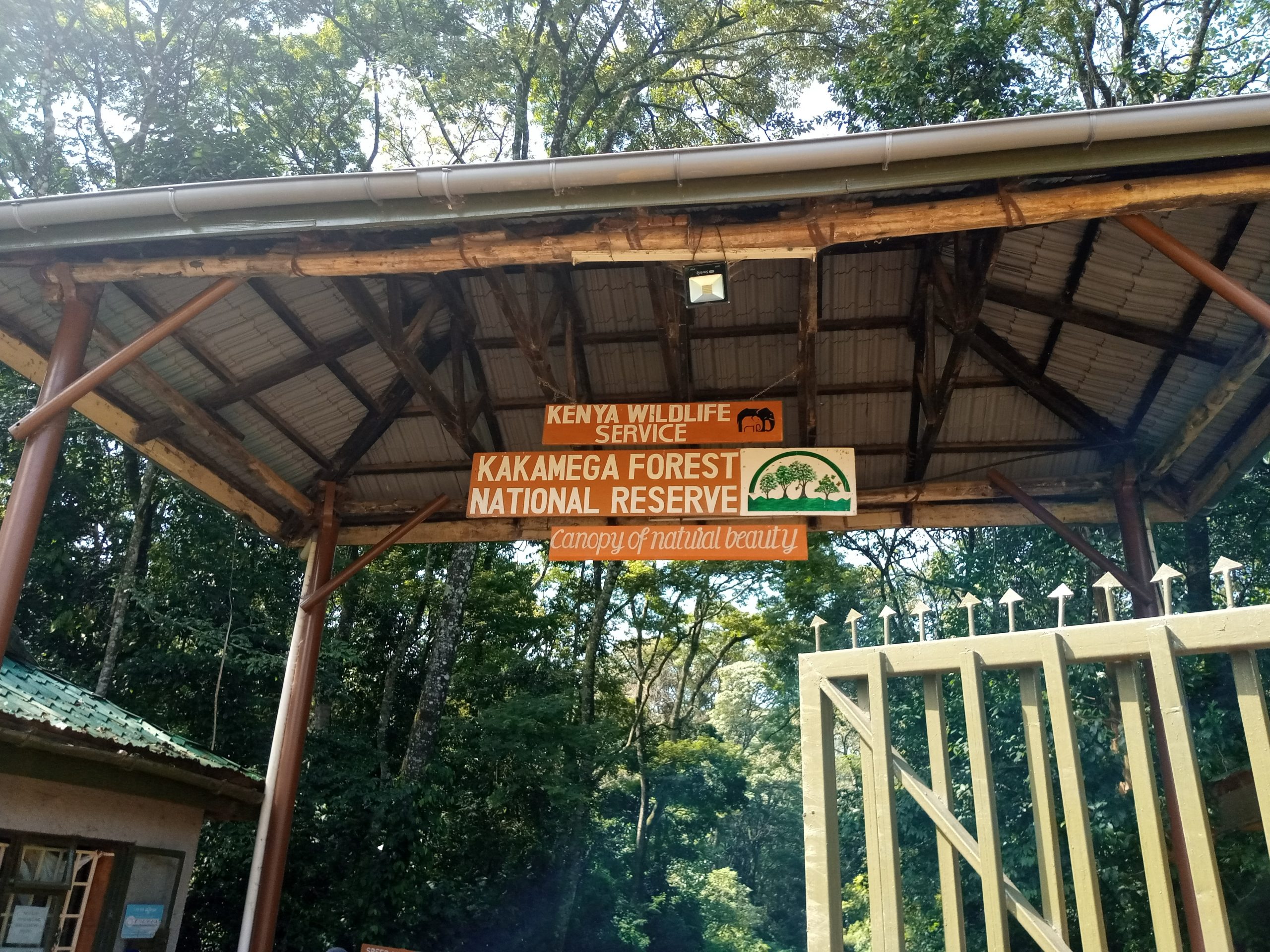 Kakamega Forest National Reserve