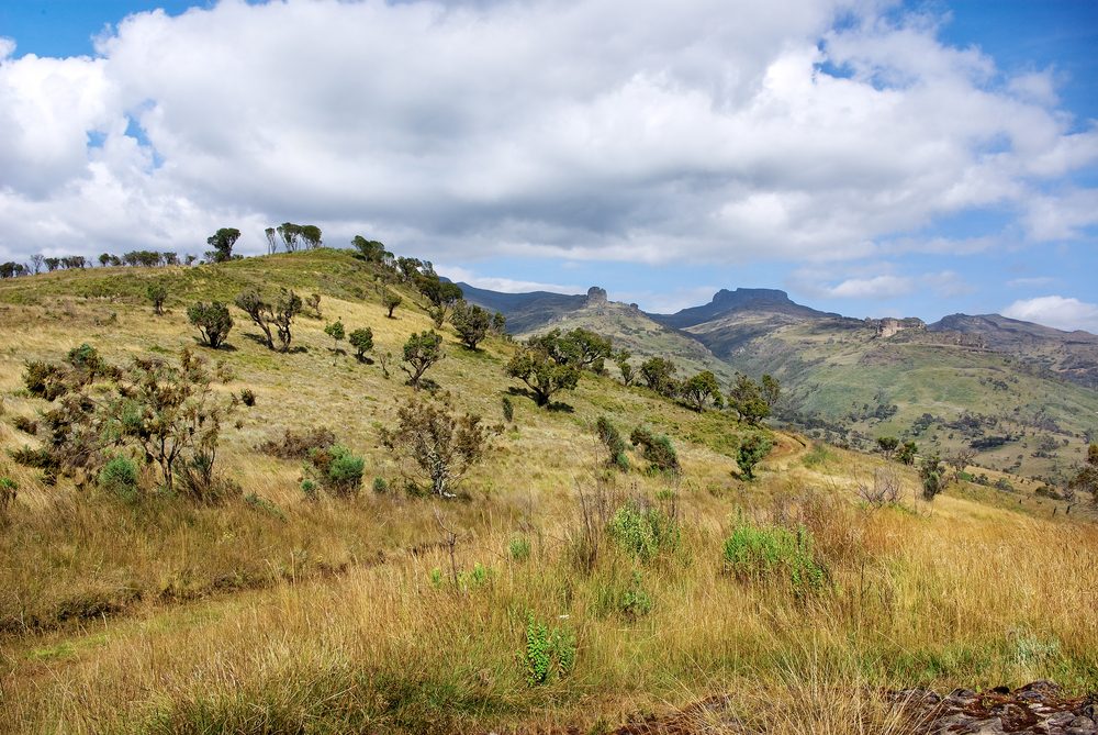 Mount Elgon National Park