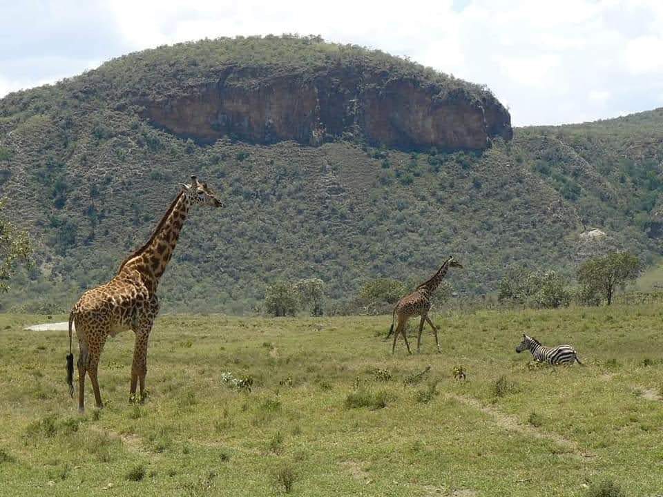 Wildlife in Hell's Gate National Park