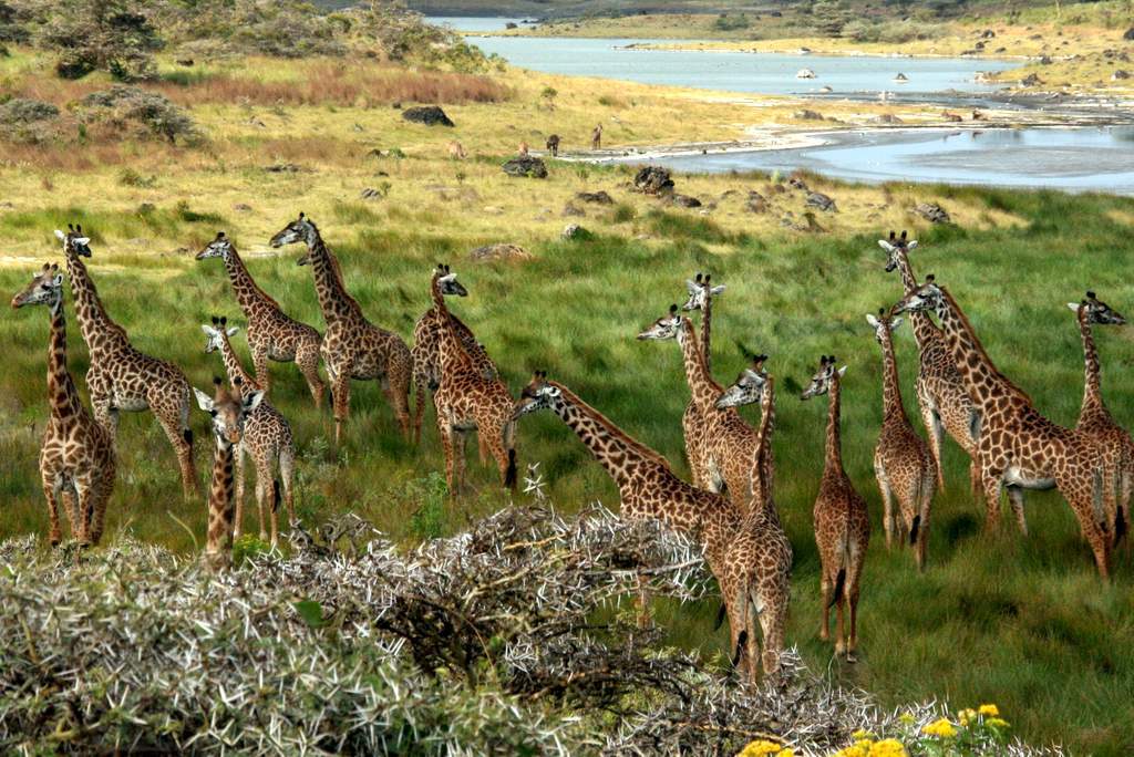 Arusha National Park