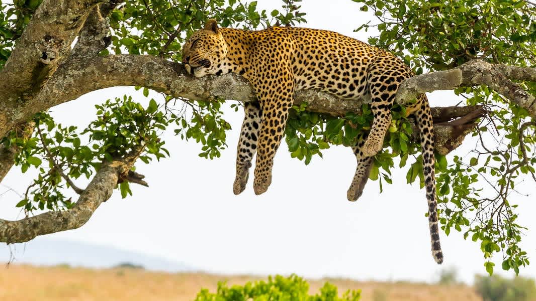 Serengeti National Park