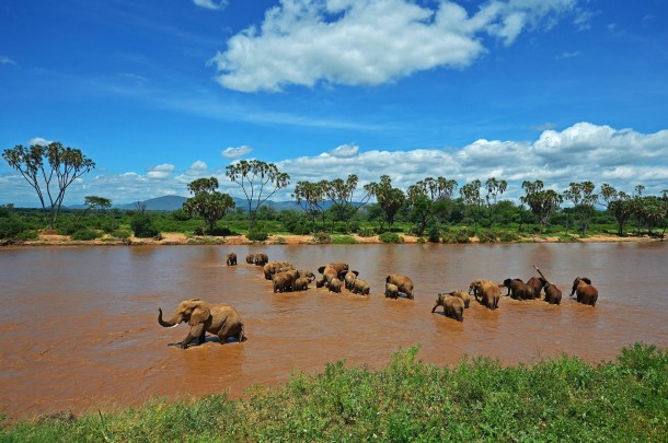 Samburu National Reserve